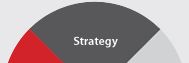 Strategy