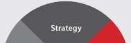 Strategy